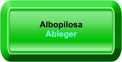 Albopilosa Ableger