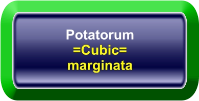 Potatorum =Cubic= marginata