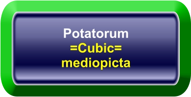 Potatorum =Cubic= mediopicta