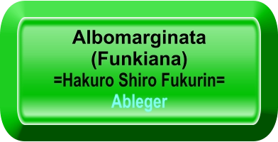 Albomarginata (Funkiana) =Hakuro Shiro Fukurin= Ableger