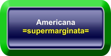 Americana =supermarginata=