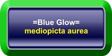 =Blue Glow= mediopicta aurea