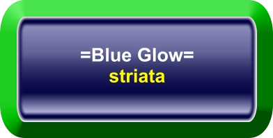 =Blue Glow= striata