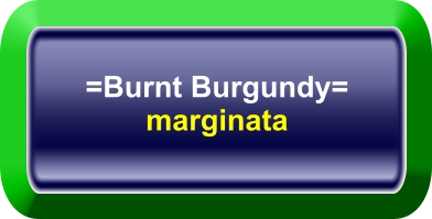 =Burnt Burgundy= marginata
