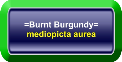 =Burnt Burgundy= mediopicta aurea