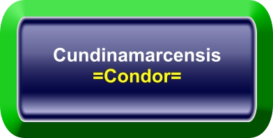 Cundinamarcensis =Condor=