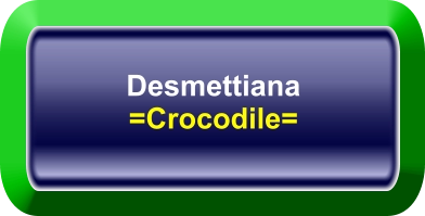 Desmettiana =Crocodile=