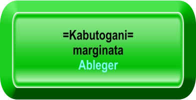 =Kabutogani=  marginata  Ableger