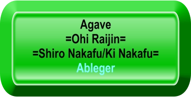 Agave  =Ohi Raijin= =Shiro Nakafu/Ki Nakafu= Ableger