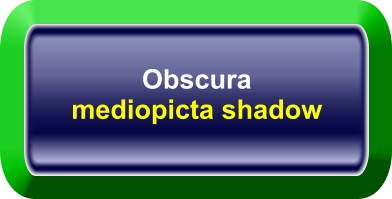 Obscura mediopicta shadow