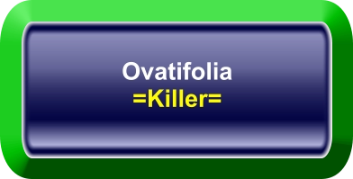 Ovatifolia =Killer=