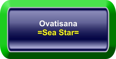 Ovatisana =Sea Star=
