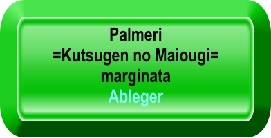 Palmeri  =Kutsugen no Maiougi=  marginata Ableger