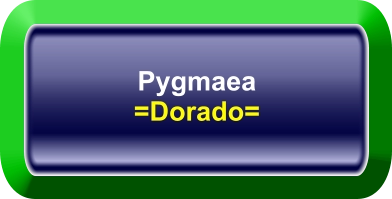 Pygmaea =Dorado=