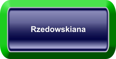 Rzedowskiana