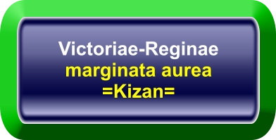 Victoriae-Reginae marginata aurea =Kizan=