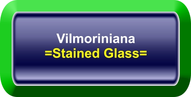 Vilmoriniana =Stained Glass=