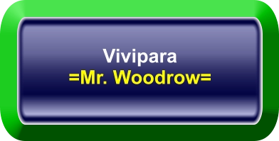 Vivipara =Mr. Woodrow=