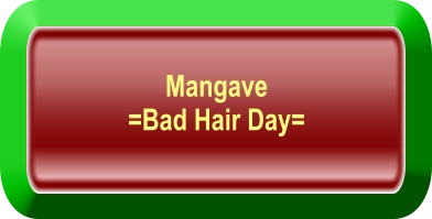 Mangave  =Bad Hair Day=