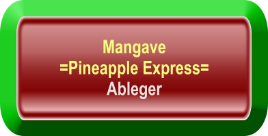 Mangave  =Pineapple Express= Ableger