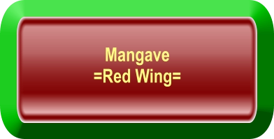 Mangave  =Red Wing=