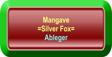 Mangave  =Silver Fox= Ableger