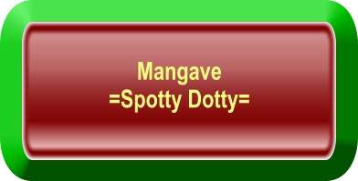 Mangave  =Spotty Dotty=