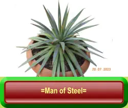 =Man of Steel=