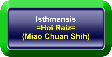 Isthmensis =Hoi Raiz= (Miao Chuan Shih)
