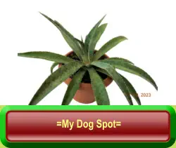 =My Dog Spot=