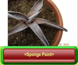 =Sponge Paint=