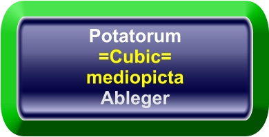 Potatorum =Cubic= mediopicta Ableger